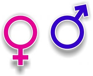 gender symbol gender symbol