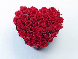 valentine's day