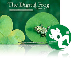 digital frog 2.5