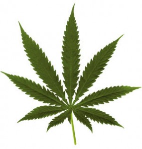 pot-leaf-285x300